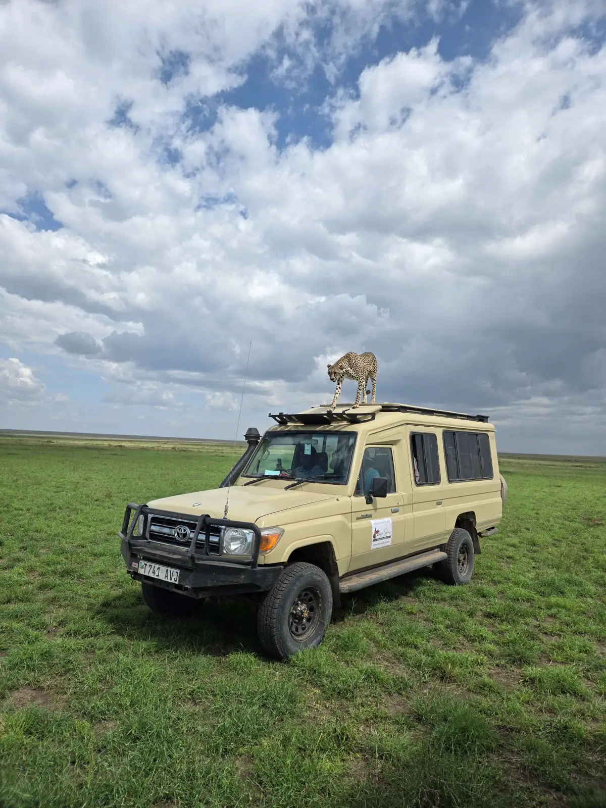 Maasai heritage and culture in Tanzania